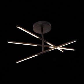 Светильник на штанге ST-Luce Ralio SL1580.403.03 в Салехарде - salekhard.mebel24.online | фото 3