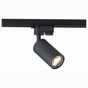 Светильник на штанге ST-Luce Solt ST300.406.01 в Салехарде - salekhard.mebel24.online | фото 1