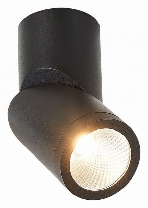 Светильник на штанге ST-Luce ST650 ST650.442.10 в Салехарде - salekhard.mebel24.online | фото 2