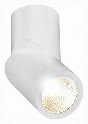 Светильник на штанге ST-Luce ST650 ST650.532.10 в Салехарде - salekhard.mebel24.online | фото 3