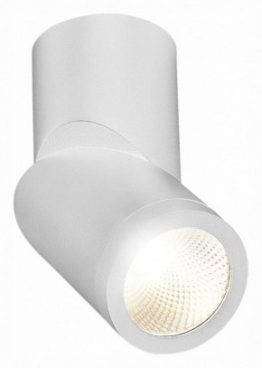 Светильник на штанге ST-Luce ST650 ST650.542.10 в Салехарде - salekhard.mebel24.online | фото 3