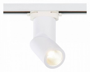 Светильник на штанге ST-Luce ST650 ST650.546.10 в Салехарде - salekhard.mebel24.online | фото 2