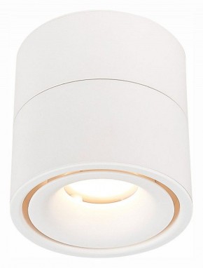 Светильник на штанге ST-Luce ST652 ST652.532.12 в Салехарде - salekhard.mebel24.online | фото 2
