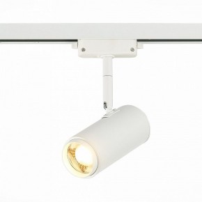 Светильник на штанге ST-Luce Zoom ST600.536.12 в Салехарде - salekhard.mebel24.online | фото 2