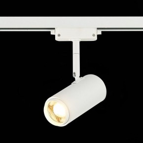 Светильник на штанге ST-Luce Zoom ST600.536.12 в Салехарде - salekhard.mebel24.online | фото 4