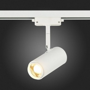 Светильник на штанге ST-Luce Zoom ST600.536.12 в Салехарде - salekhard.mebel24.online | фото 7