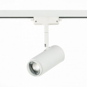 Светильник на штанге ST-Luce Zoom ST600.546.12 в Салехарде - salekhard.mebel24.online | фото 3