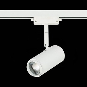 Светильник на штанге ST-Luce Zoom ST600.546.12 в Салехарде - salekhard.mebel24.online | фото 5