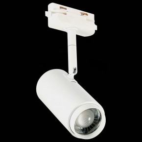 Светильник на штанге ST-Luce Zoom ST600.546.12 в Салехарде - salekhard.mebel24.online | фото 6