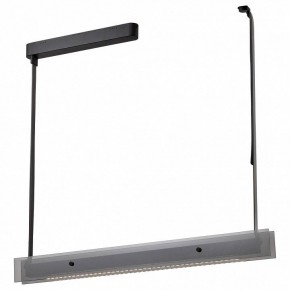 Светильник на штанге Wertmark Kuno WE435.10.023 в Салехарде - salekhard.mebel24.online | фото