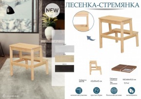 Табурет Стремянка в Салехарде - salekhard.mebel24.online | фото 4