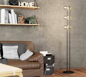 Торшер Eglo ПРОМО Chieveley 43544 в Салехарде - salekhard.mebel24.online | фото 2