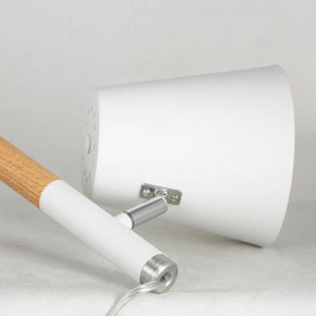 Торшер Lussole Buckeye LSP-0628 в Салехарде - salekhard.mebel24.online | фото 4