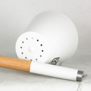 Торшер Lussole Buckeye LSP-0628 в Салехарде - salekhard.mebel24.online | фото 5