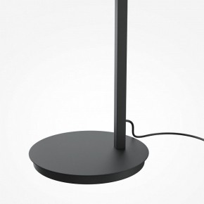 Торшер Maytoni Emphaty MOD363FL-L14B3K в Салехарде - salekhard.mebel24.online | фото 5