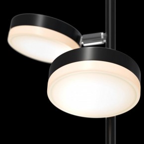 Торшер Maytoni Fad MOD070FL-L12B3K в Салехарде - salekhard.mebel24.online | фото