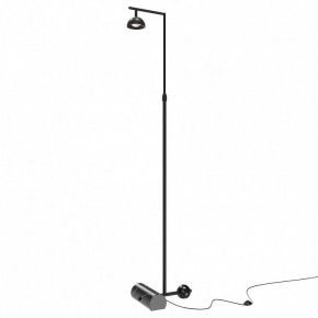 Торшер Maytoni Pikant MOD372FL-L10B3K в Салехарде - salekhard.mebel24.online | фото