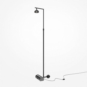 Торшер Maytoni Pikant MOD372FL-L10B3K в Салехарде - salekhard.mebel24.online | фото 2