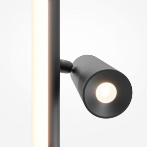 Торшер Maytoni Thin MOD395FL-L28B3K в Салехарде - salekhard.mebel24.online | фото 6
