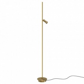 Торшер Maytoni Thin MOD395FL-L28BS3K в Салехарде - salekhard.mebel24.online | фото
