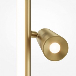 Торшер Maytoni Thin MOD395FL-L28BS3K в Салехарде - salekhard.mebel24.online | фото 5