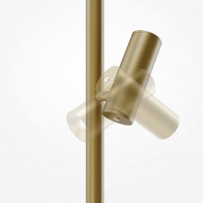Торшер Maytoni Thin MOD395FL-L28BS3K в Салехарде - salekhard.mebel24.online | фото 6