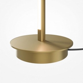 Торшер Maytoni Thin MOD395FL-L28BS3K в Салехарде - salekhard.mebel24.online | фото 7