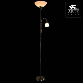 Торшер с подсветкой Arte Lamp Duetto A9569PN-2AB в Салехарде - salekhard.mebel24.online | фото 3