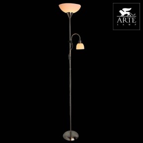 Торшер с подсветкой Arte Lamp Duetto A9569PN-2SS в Салехарде - salekhard.mebel24.online | фото 3