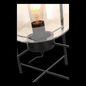 Торшер ST-Luce Burasca SL1050.505.01 в Салехарде - salekhard.mebel24.online | фото 9