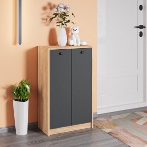 Тумба для обуви Рино в Салехарде - salekhard.mebel24.online | фото 3
