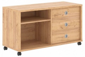 Тумба комбинированная Born B 202A в Салехарде - salekhard.mebel24.online | фото