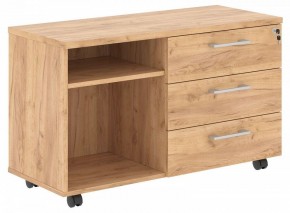 Тумба комбинированная Torr-Z TLC-3D.1A в Салехарде - salekhard.mebel24.online | фото