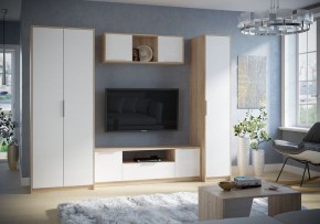 Тумба под ТВ Нордик в Салехарде - salekhard.mebel24.online | фото