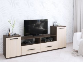 Тумба ТВ Парус-2 венге/дуб молочный в Салехарде - salekhard.mebel24.online | фото