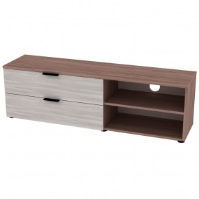 ТВ тумба TV21 (ЯШТ-ЯШС) в Салехарде - salekhard.mebel24.online | фото