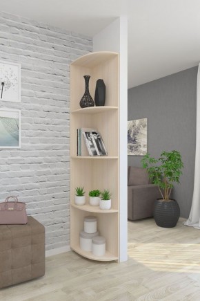 Угловой элемент ЛДСП 1 кат. в Салехарде - salekhard.mebel24.online | фото 4