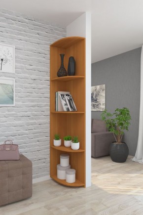Угловой элемент ЛДСП 1 кат. в Салехарде - salekhard.mebel24.online | фото 6