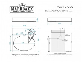 Умывальник над стиральной машиной (600*545*80) Смайл V55D1 (белый) с кронштейном без сифона (V55D1) в Салехарде - salekhard.mebel24.online | фото 2