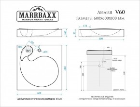 Умывальник над стиральной машиной (600*600х100) Лилия V60 (белый) с кронштейном без сифона (V60) в Салехарде - salekhard.mebel24.online | фото 2