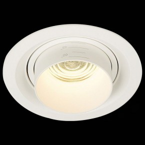 Встраиваемый светильник ST-Luce Zoom ST701.538.12 в Салехарде - salekhard.mebel24.online | фото 4