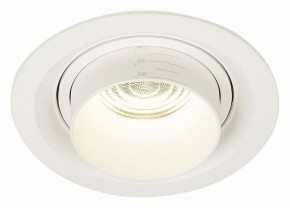Встраиваемый светильник ST-Luce Zoom ST701.548.12 в Салехарде - salekhard.mebel24.online | фото 2