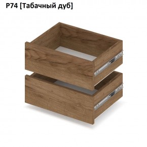 РОЛАНД Выдвижные ящики  Р76 в Салехарде - salekhard.mebel24.online | фото 10